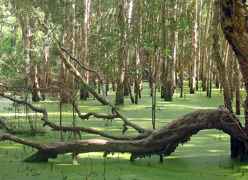 Dudley Lagoon