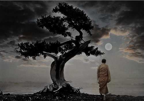 Bonsai Moon